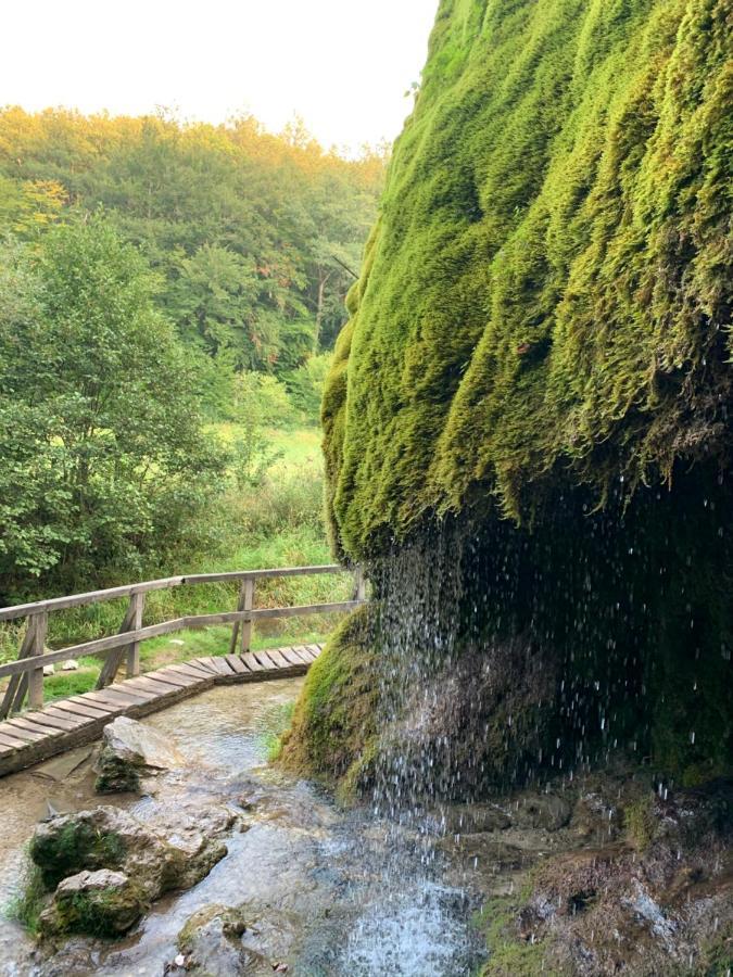 Ferienhaus Backesgarten für 22 Personen Neichen Exterior foto